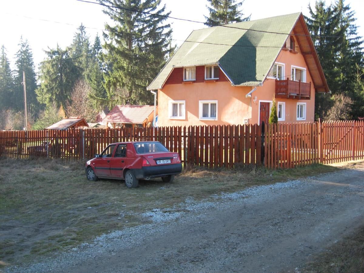 Дома для отпуска Casa Moldovan Извору Мурешулуй-25