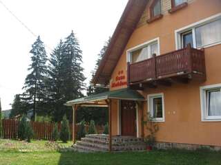 Дома для отпуска Casa Moldovan Извору Мурешулуй Дом с 4 спальнями-42